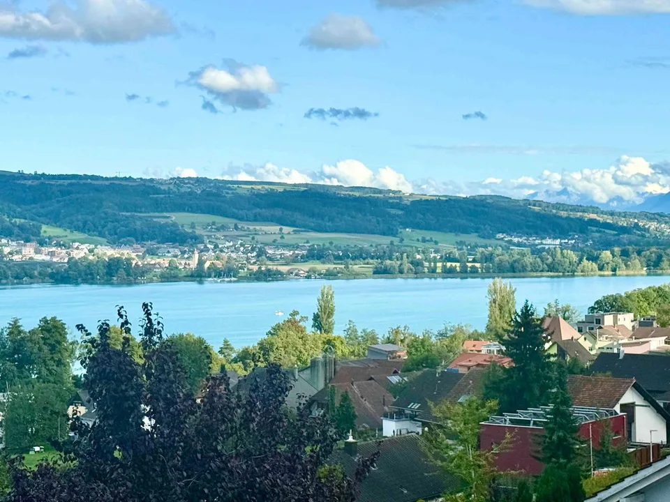 Neubauprojekt: Einfamilienhaus mit Traumsicht auf den Hallwilersee