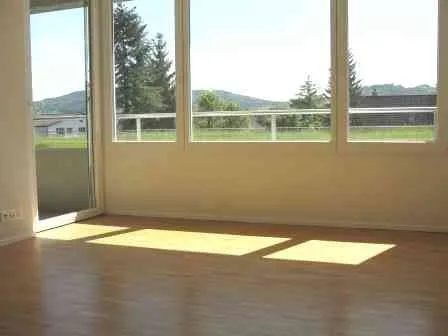Schöne, sonnige und zentralgelegene 2.5-Zimmer-Wohnung