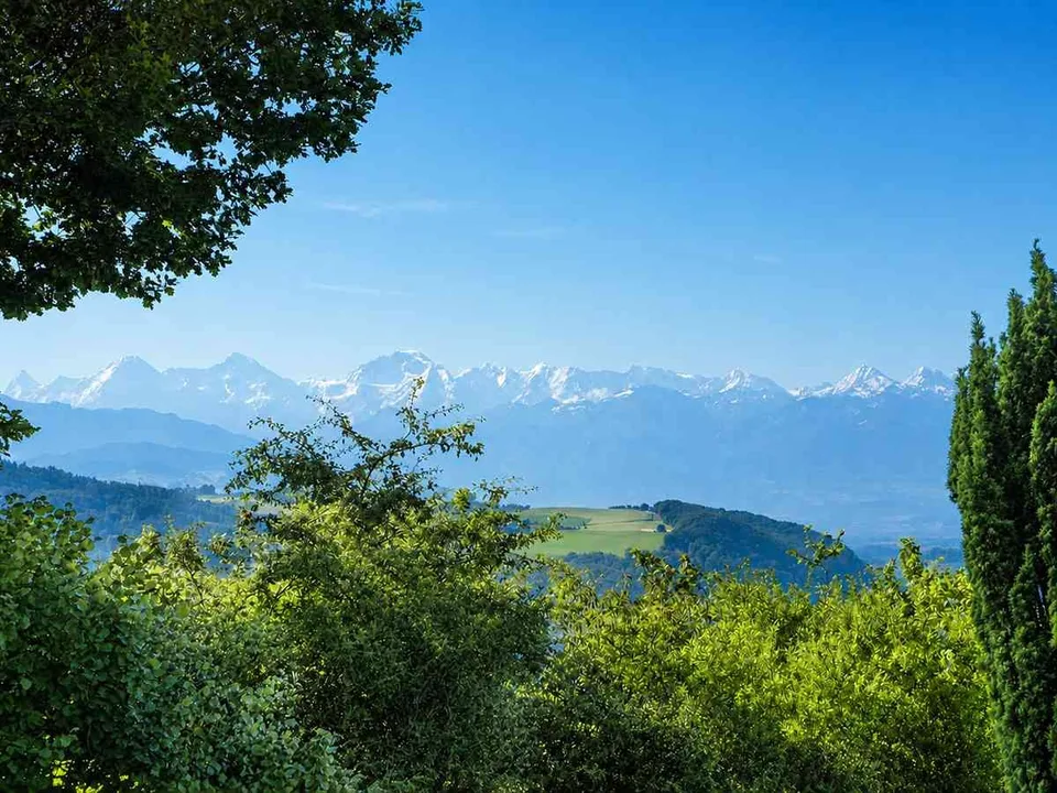 Einfamilienhaus mit Weitblick