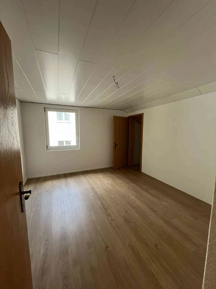 Charmante, neu renovierte 4 1/2 Zimmer Wohnung