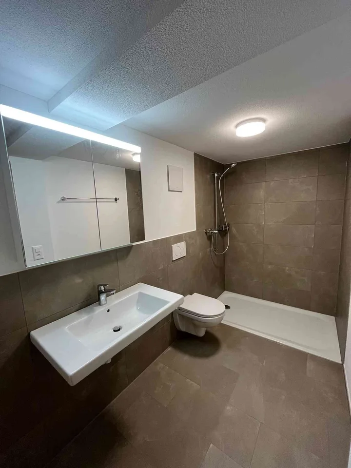 Charmante, neu renovierte 4 1/2 Zimmer Wohnung
