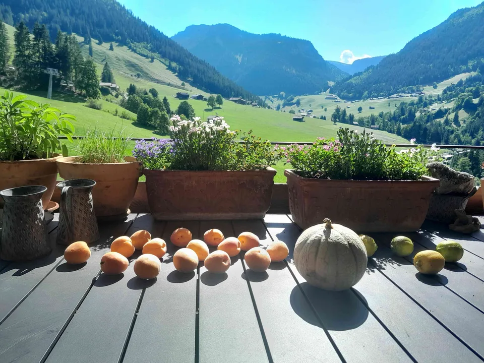 Charmante 2,5-Zimmer-Dachwohnung im Ferienzentrum Wiriehorn Diemtigtal