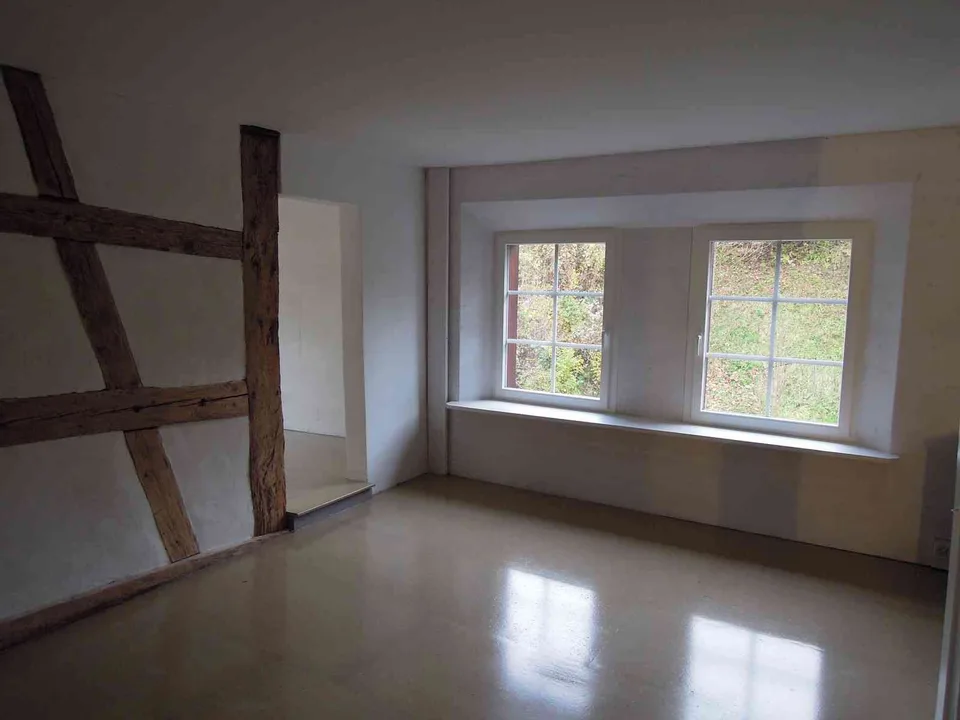 Wohnung in historischer Minergie Mühle