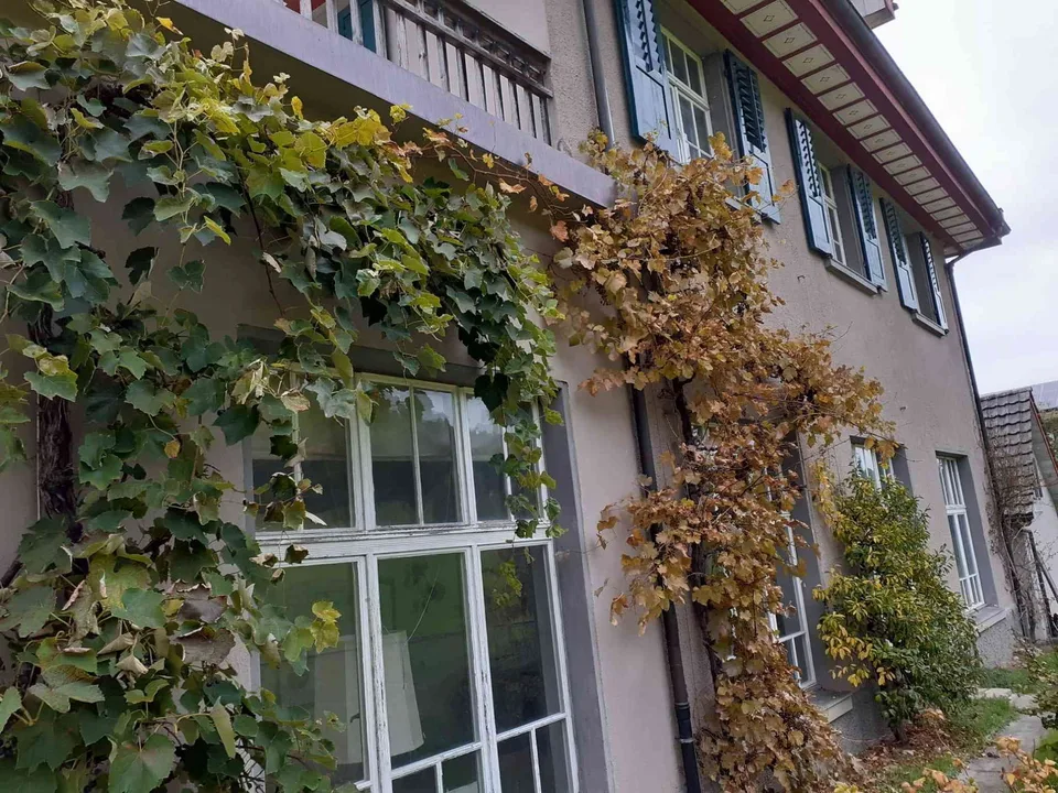 Villa Erika – photo 4 of 12