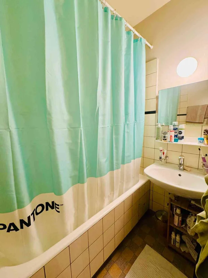 Reprise de Bail - Grand 3P 55m2 - 1227 Carouge, rue de la faïencerie