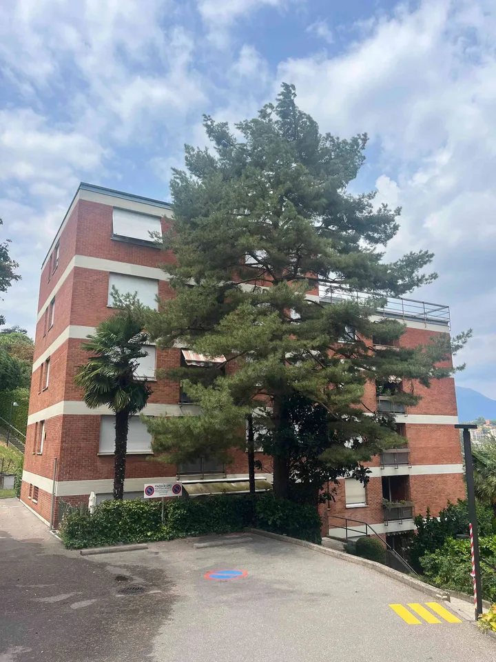 Paradiso: appartamento 2 1/2 locali vista lago – foto 3 di 10