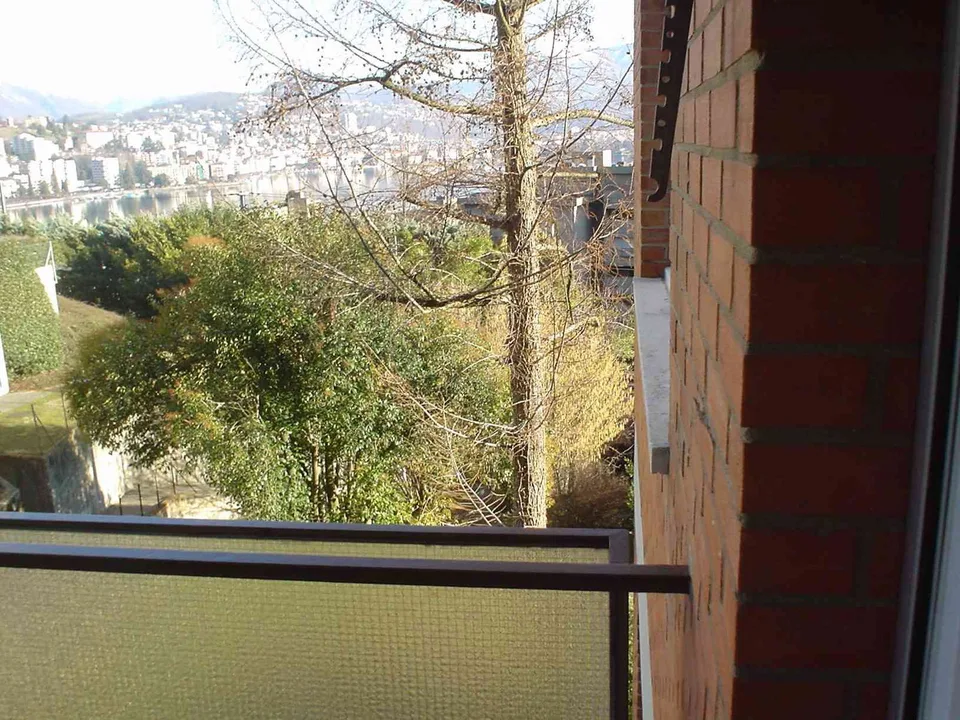 Paradiso: appartamento 2 1/2 locali vista lago – foto 10 di 10