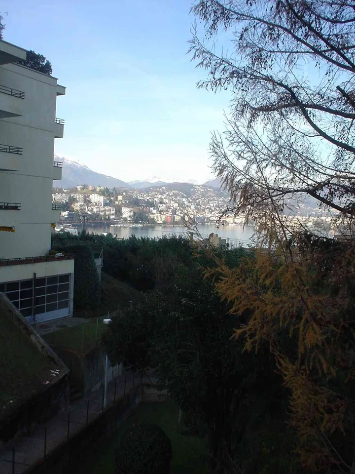 Paradiso: appartamento 2 1/2 locali vista lago – foto 8 di 10