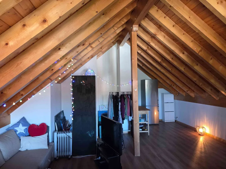 A LOUER - Grande pièce de 44 m2 à l'étage d'une colocation à 3
