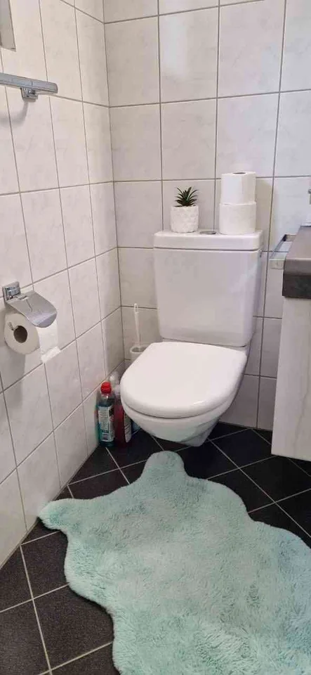 schöne vollausgestattete (möbilierte) 2-Zimmer Wohnung (zentrale Lage)