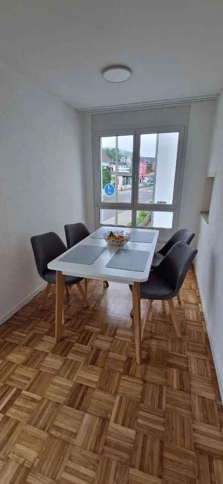 schöne vollausgestattete (möbilierte) 2-Zimmer Wohnung (zentrale Lage)
