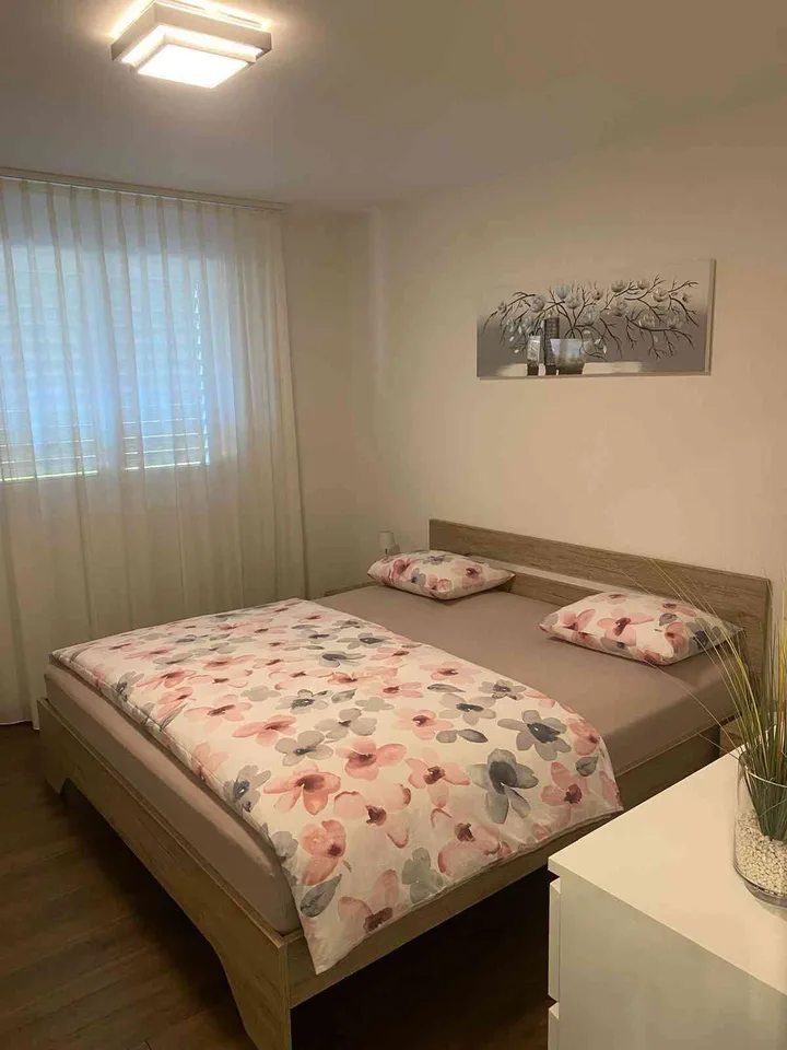 3½-Zimmer-Reiheneckhaus mit grosszügigem Garten in Möhlin