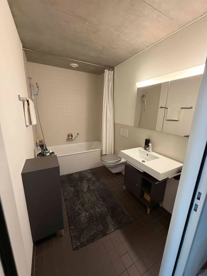 Sehr ruhige, schöne 3.5 Zi Wohnung, Waschmaschine,Tumbler,ab 15.12.26