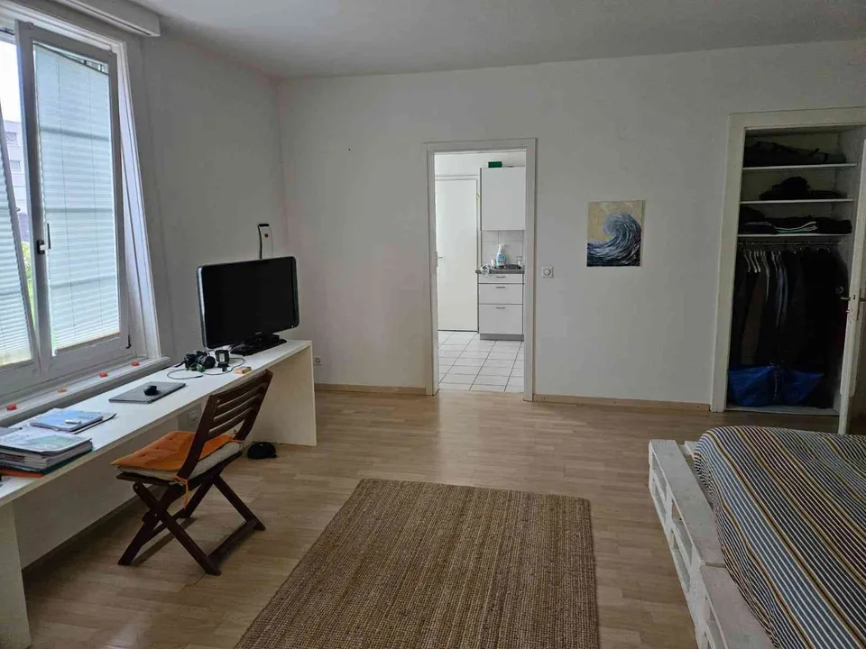 Stilvolle Singlewohnung mit Garten zur Mitbenützung
