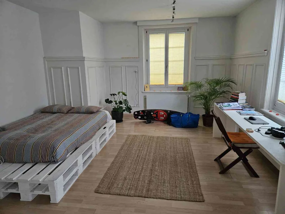 Stilvolle Singlewohnung mit Garten zur Mitbenützung