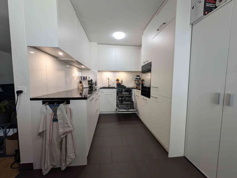 Charming Fully Renovated 3.5-Room Ground-Floor Apartment with Private