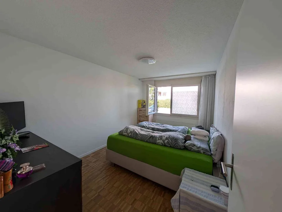 Charming Fully Renovated 3.5-Room Ground-Floor Apartment with Private