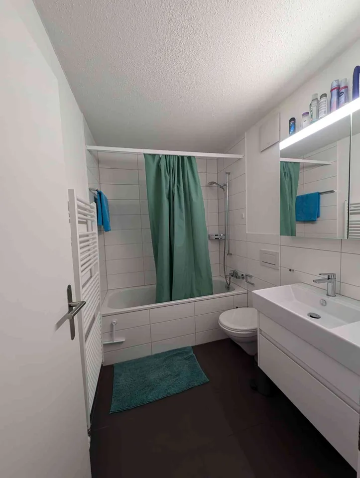 Charming Fully Renovated 3.5-Room Ground-Floor Apartment with Private