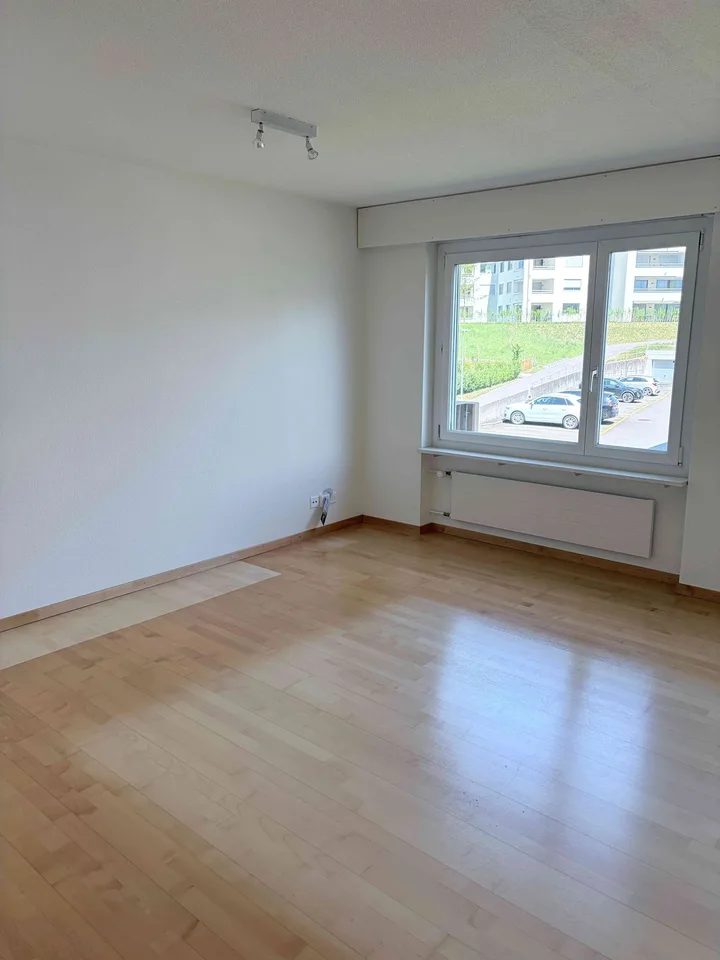Grosszügige 3.5-Zimmer-Wohnung an ruhiger und zentraler Lage in Seewen