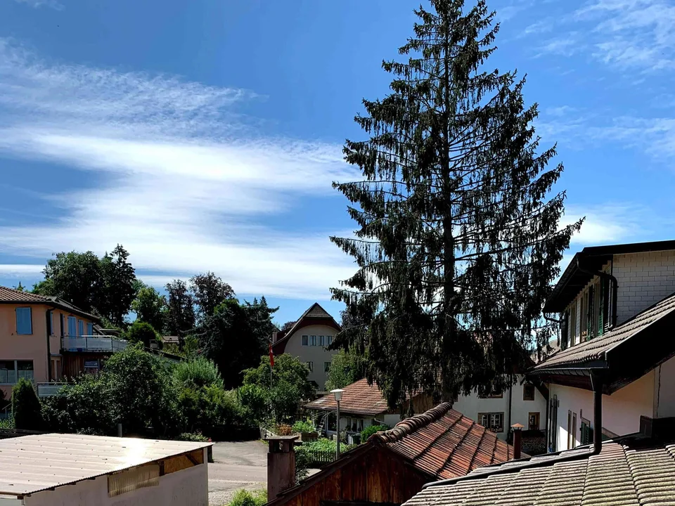 Grosses Büro/Atelier in Industrielook und Aussicht