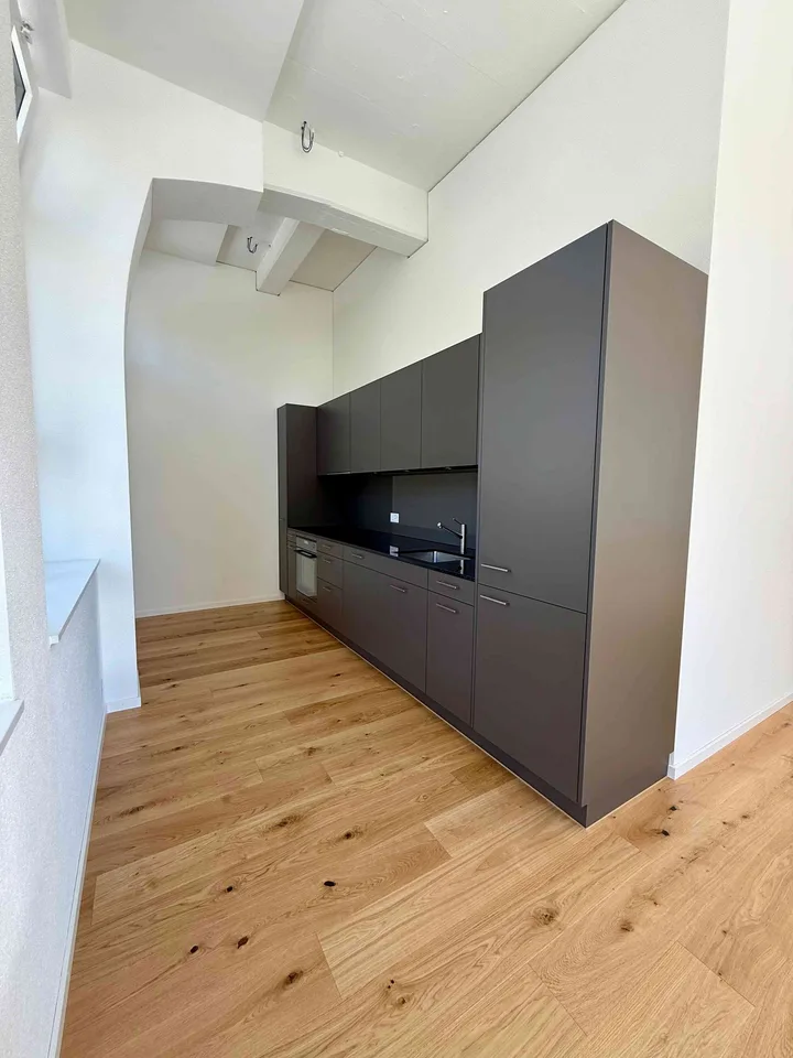 Neue, einzigartige, lichtdurchflutete 3.5 Zimmer Garten-Loft-Wohnung