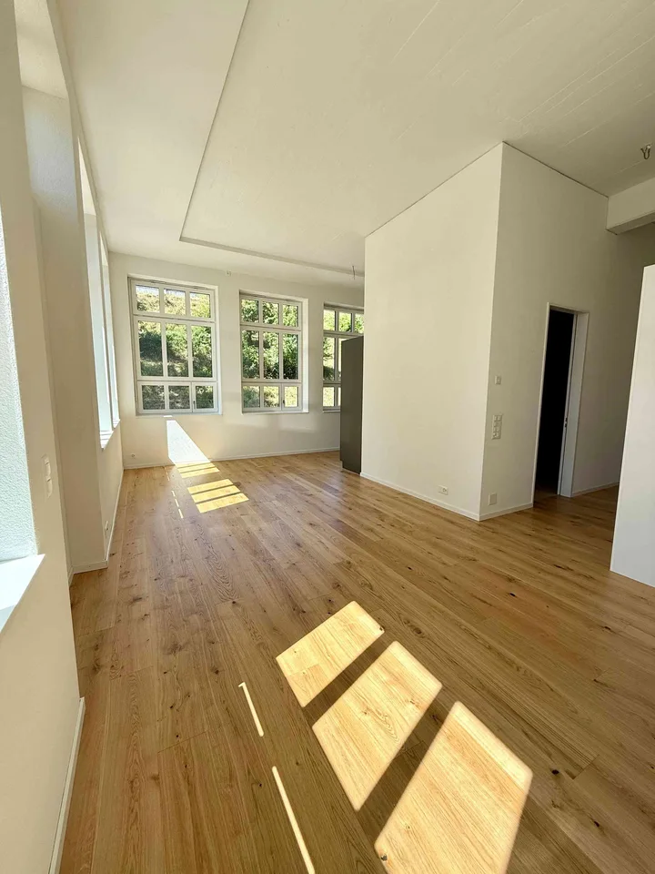 Neue, einzigartige, lichtdurchflutete 3.5 Zimmer Garten-Loft-Wohnung