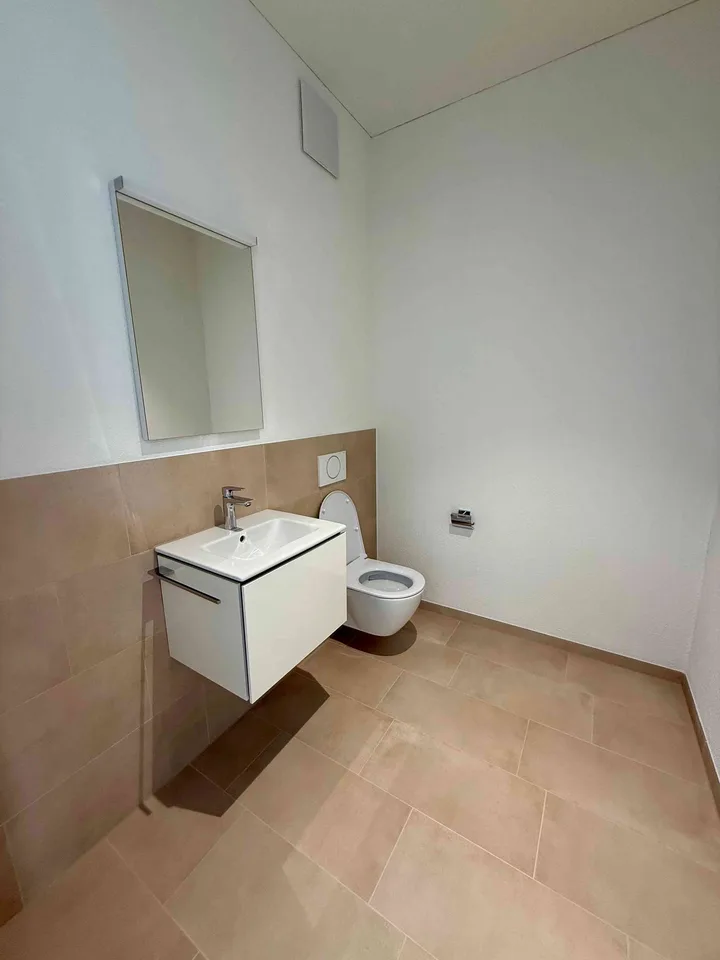 Neue, einzigartige, lichtdurchflutete 3.5 Zimmer Garten-Loft-Wohnung