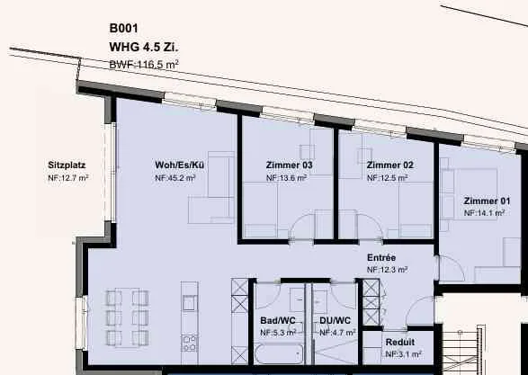 Exklusive 4.5-Zimmer-Neubauwohnung mit grosszügigem Sitzplatz