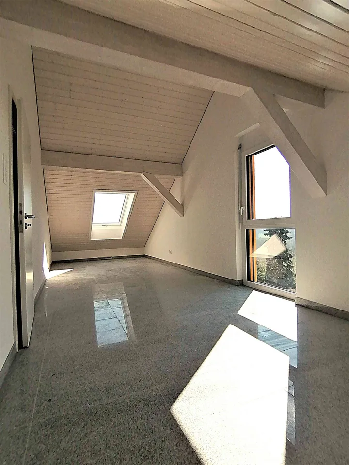 Magnifique villa d'architecte à louer, proche de Lausanne