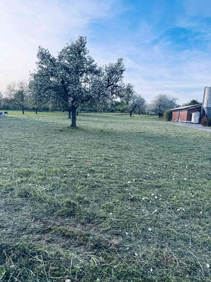 Bauland mit Weitblick in Kümmertshausen – 1'853 m² zum Träumen