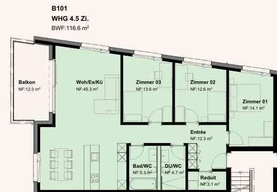 Exklusive 4.5-Zimmer-Neubauwohnung in grüner Umgebung