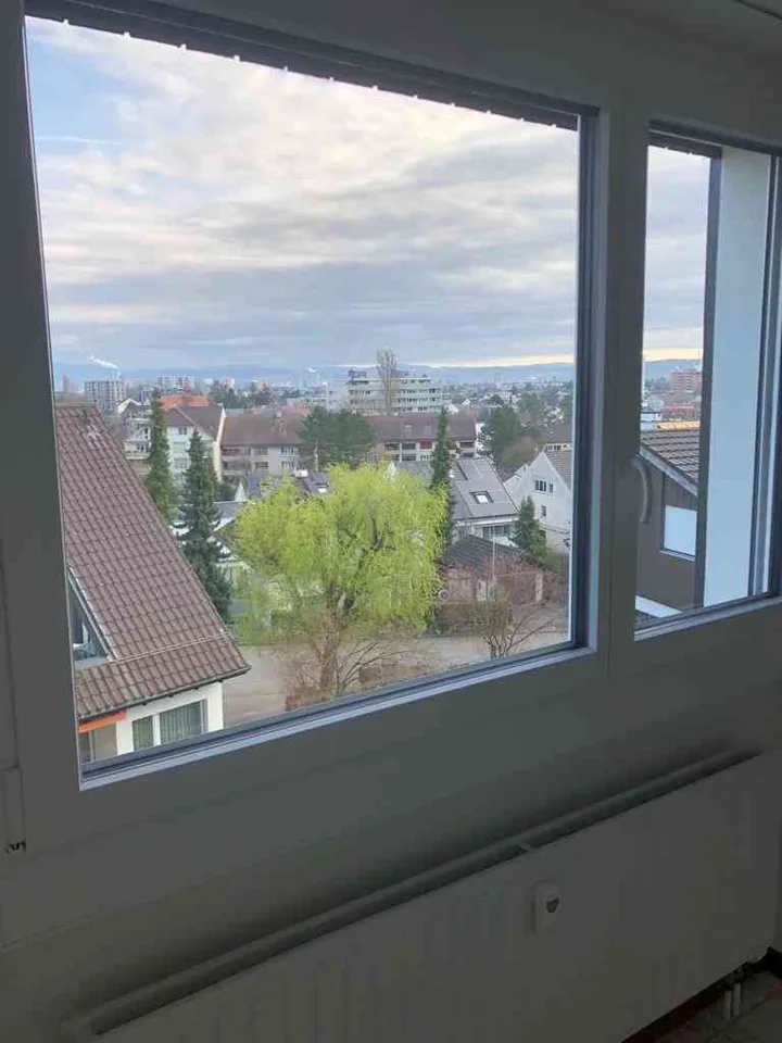 Renovierte helle 2.5. Zimmer Dachwohnung in Allschwil