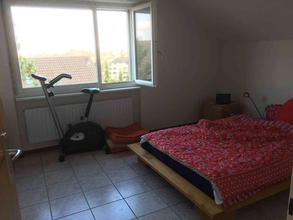 Renovierte helle 2.5. Zimmer Dachwohnung in Allschwil