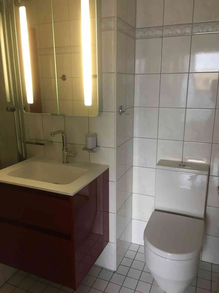 Renovierte helle 2.5. Zimmer Dachwohnung in Allschwil