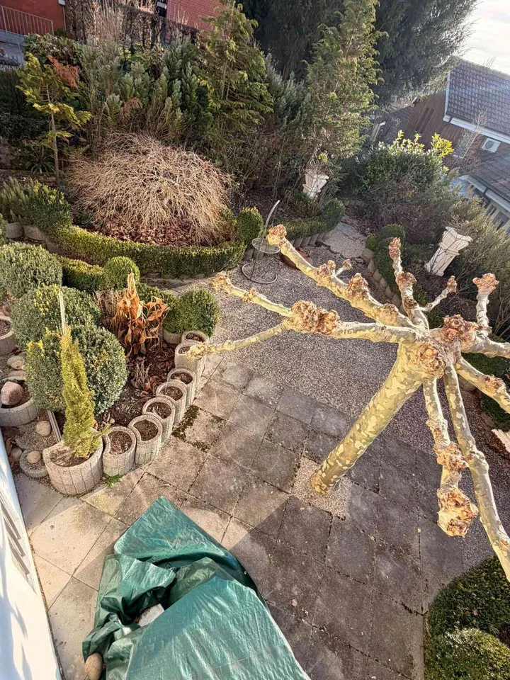 Grosszügige 7.5-Zimmer Gewerbefläche mit Garten und Doppelparkplatz