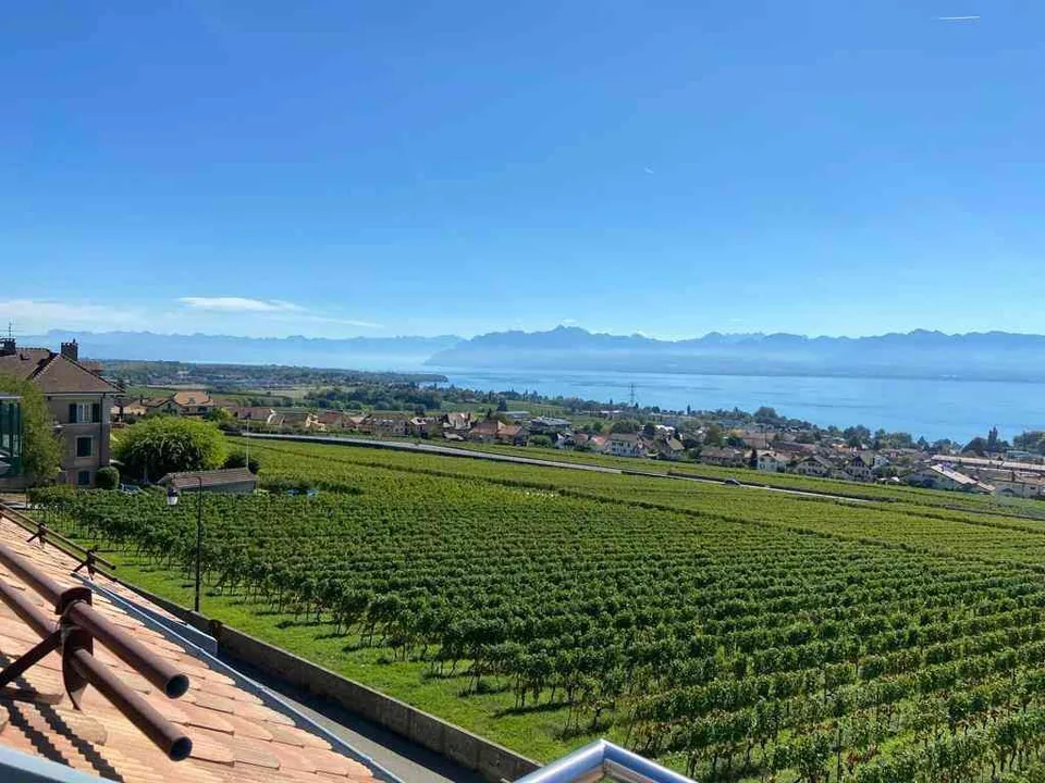 UNIQUE, attique de 140m2 avec vue imprenable sur le lac et les alpes