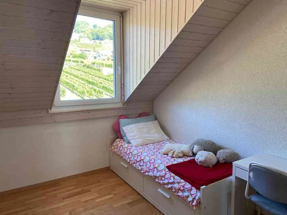 UNIQUE, attique de 140m2 avec vue imprenable sur le lac et les alpes
