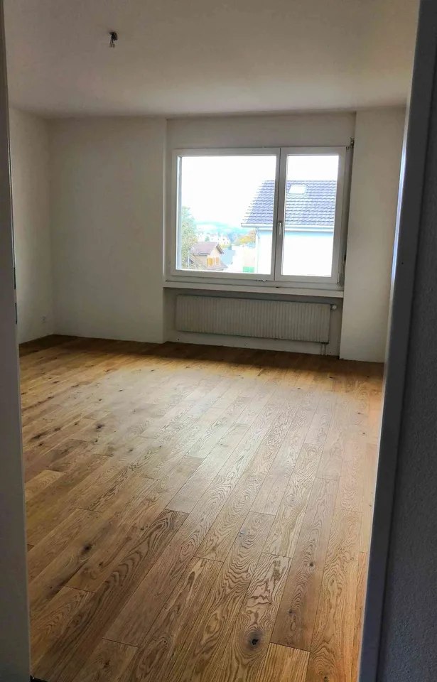 Helle 4..5-Zimmer-Wohnung mit Balkon und Bergblick in Ebikon
