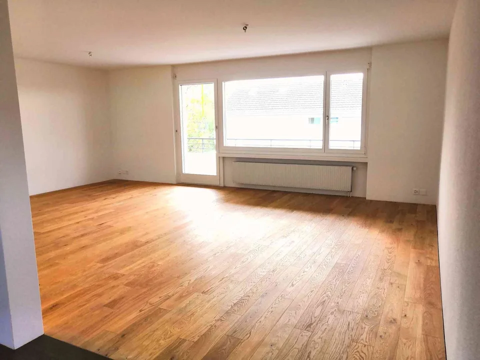 Helle 4..5-Zimmer-Wohnung mit Balkon und Bergblick in Ebikon
