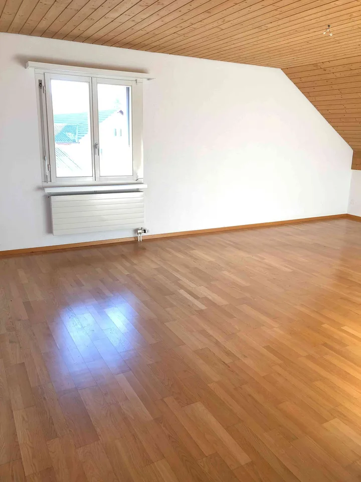5.5-Zimmer-Attika-Wohnung mit toller unverbaubarer Aussicht