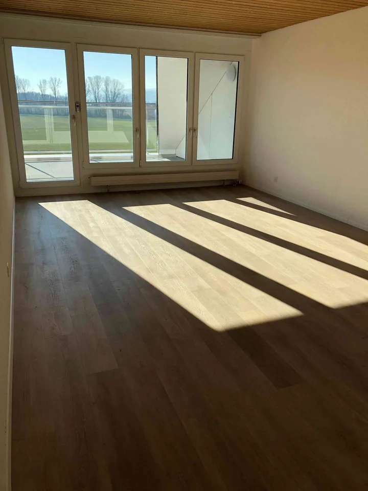 5.5-Zimmer-Attika-Wohnung mit toller unverbaubarer Aussicht