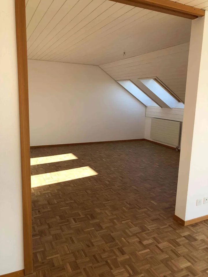 5.5-Zimmer-Attika-Wohnung mit toller unverbaubarer Aussicht