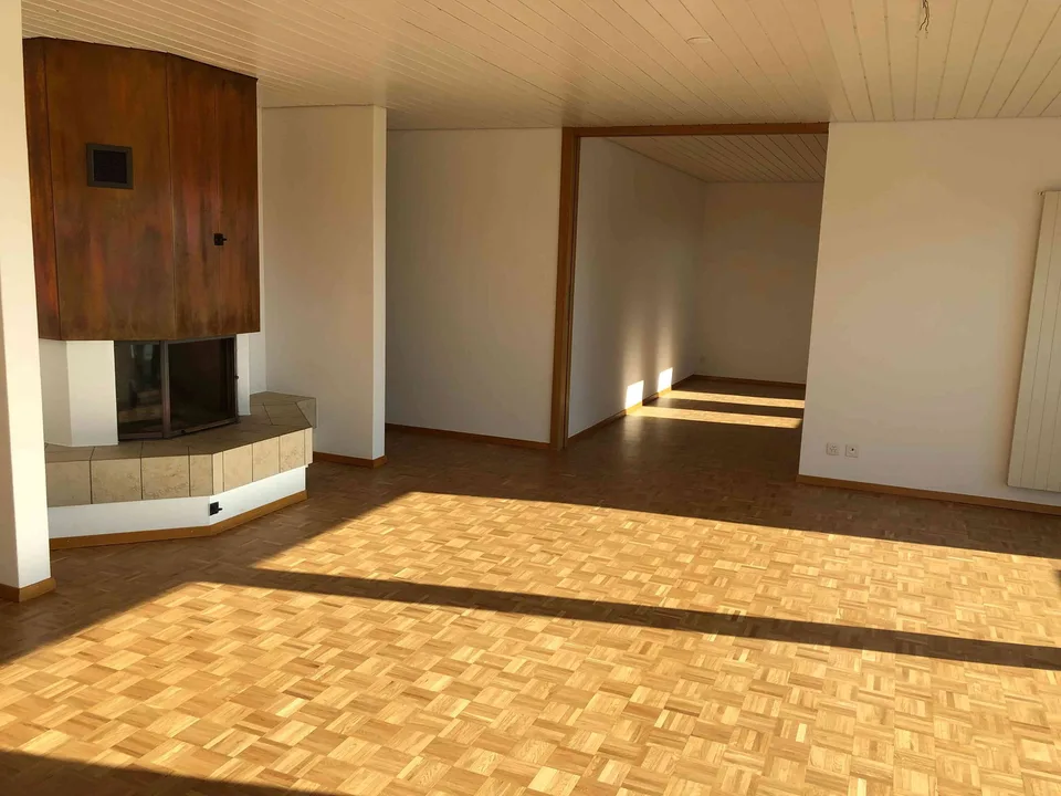 5.5-Zimmer-Attika-Wohnung mit toller unverbaubarer Aussicht