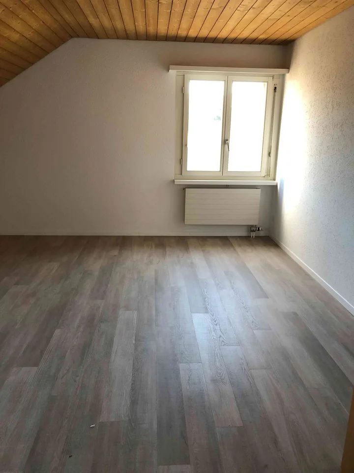 5.5-Zimmer-Attika-Wohnung mit toller unverbaubarer Aussicht