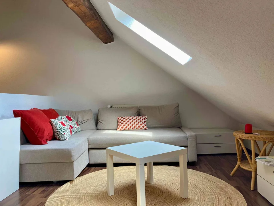 Appartement à louer en basse ville de Fribourg