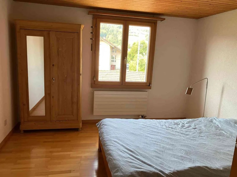 Helle 3-Zimmer-Dachwohnung im Zentrum von Horw