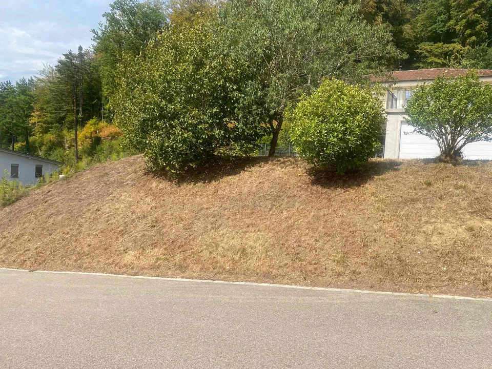 Bauland zu verkaufen – ca. 400 m² in Breitenbach SO
