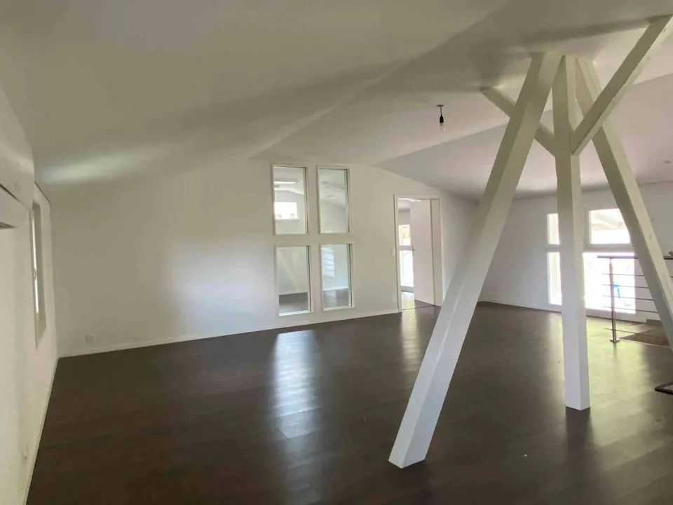 Offene Traumwohnung mit modernem Cheminée