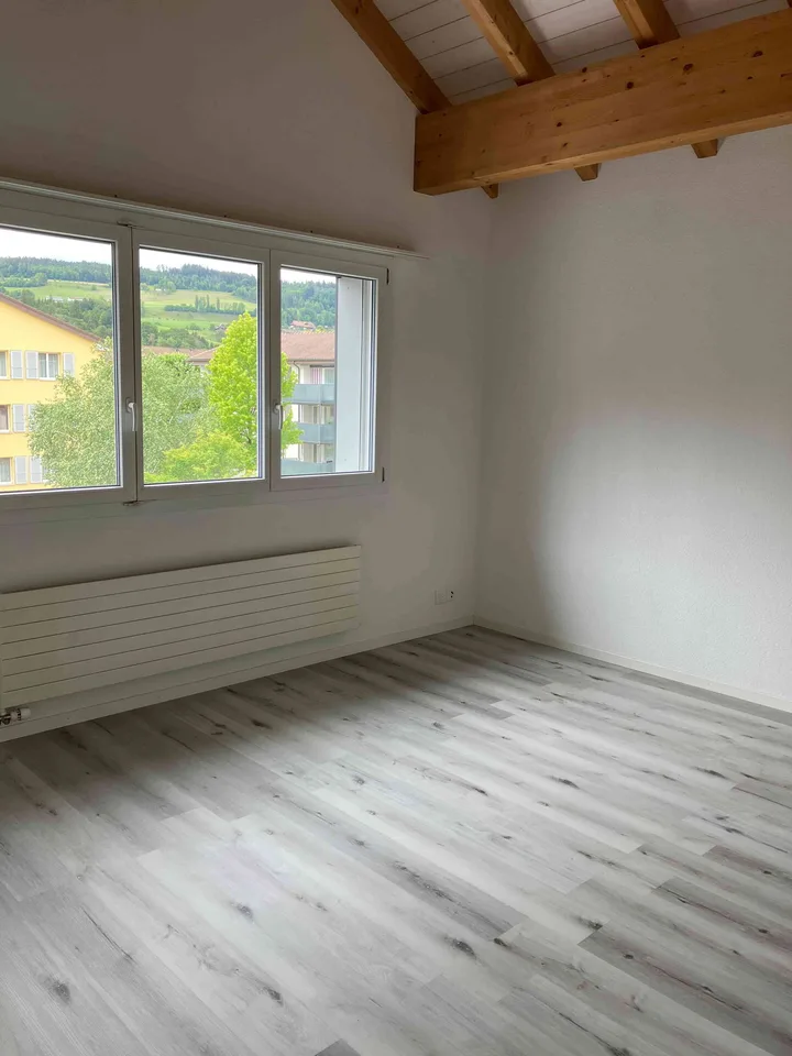 Duplex/House Apartment in Wichtrach