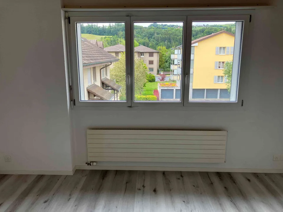 Duplex/House Apartment in Wichtrach